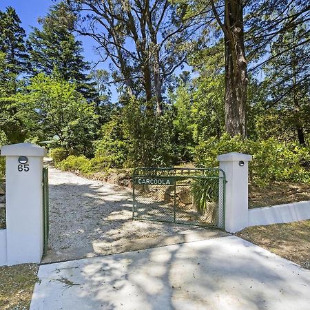 Villa Carcoola Blackheath Exterior foto