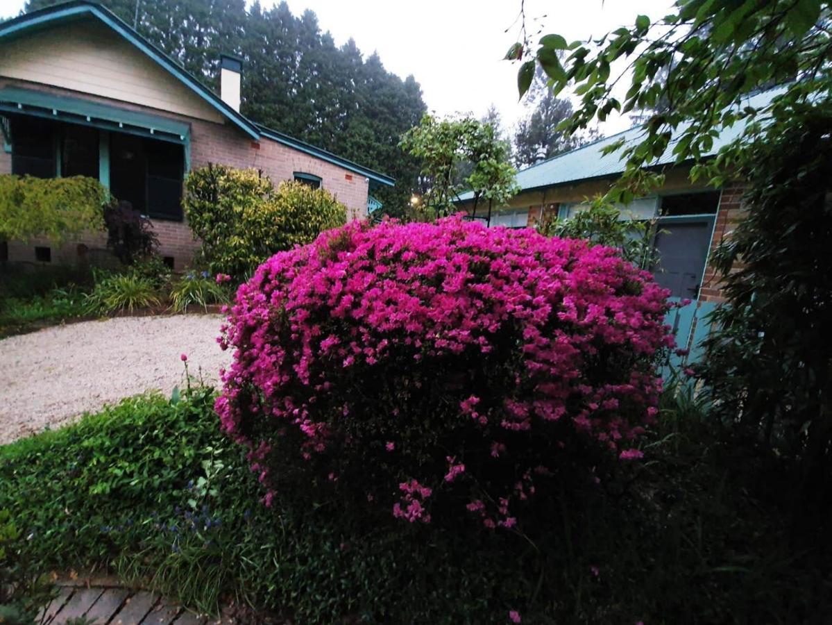 Villa Carcoola Blackheath Exterior foto